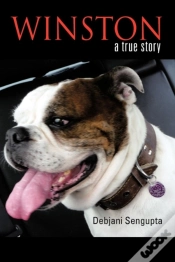 Capa do artigo Winston