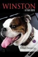 Winston