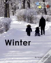 Capa do artigo Winter