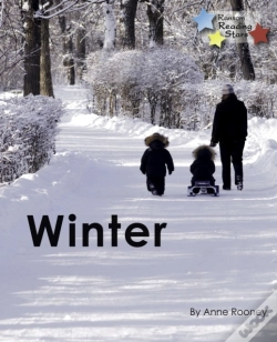 Capa do artigo Winter