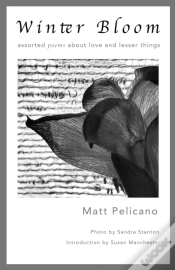 Capa do artigo Winter Bloom