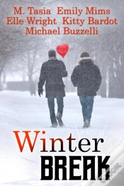 Capa do artigo Winter Break