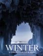 Winter - Preview