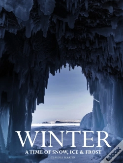 Capa do artigo Winter