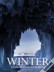 Capa do artigo Winter