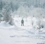 Winter & the Wolves - Vinil - Preview