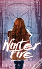 Capa do artigo Winter Fire