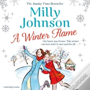 Capa do artigo Winter Flame
