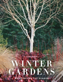 Capa do artigo Winter Gardens