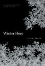 Winter Here - Preview