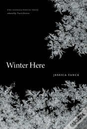 Capa do artigo Winter Here