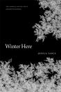 Winter Here - Preview