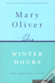 Capa do artigo Winter Hours