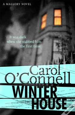 Capa do artigo Winter House