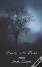 Winter In The Bones