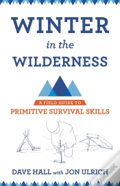 Capa do artigo Winter In The Wilderness