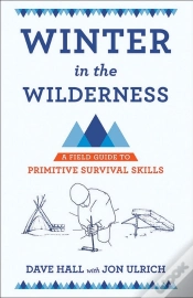 Capa do artigo Winter In The Wilderness