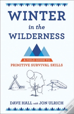 Capa do artigo Winter In The Wilderness
