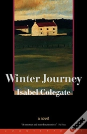 Capa do artigo Winter Journey