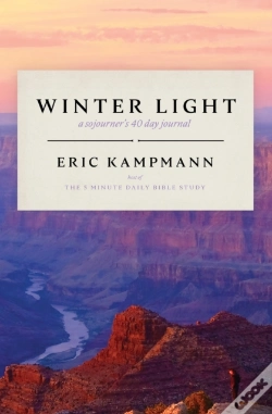 Capa do artigo Winter Light