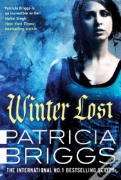 Capa do artigo Winter Lost