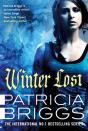 Winter Lost - Preview