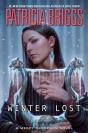 Winter Lost - Preview