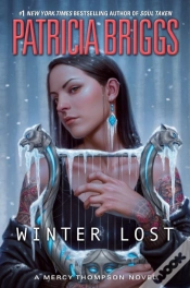 Capa do artigo Winter Lost