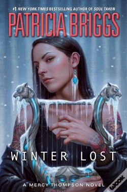 Capa do artigo Winter Lost