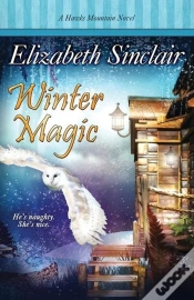 Capa do artigo Winter Magic