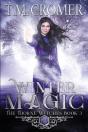 Winter Magic - Preview