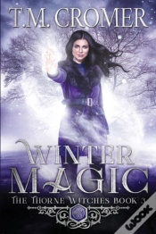 Capa do artigo Winter Magic