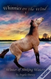Winter Of Sinking Waters
