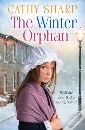 Capa do artigo Winter Orphan