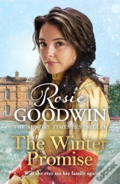 Capa do artigo Winter Promise