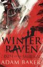 Winter Raven - Preview