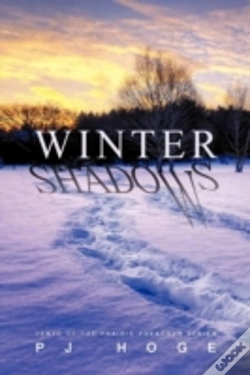 Capa do artigo Winter Shadows