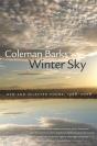 Winter Sky - Preview