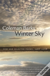 Winter Sky