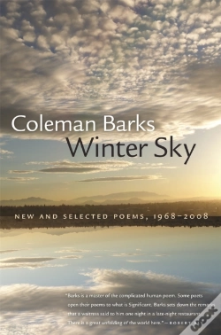 Capa do artigo Winter Sky