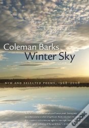 Capa do artigo Winter Sky