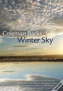 Capa do artigo Winter Sky