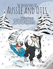 Capa do artigo Winter Storm