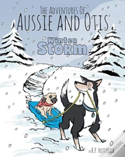 Capa do artigo Winter Storm