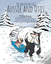 Winter Storm