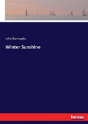Winter Sunshine - Preview