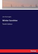 Winter Sunshine