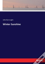 Capa do artigo Winter Sunshine