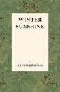 Winter Sunshine - Preview