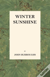 Capa do artigo Winter Sunshine